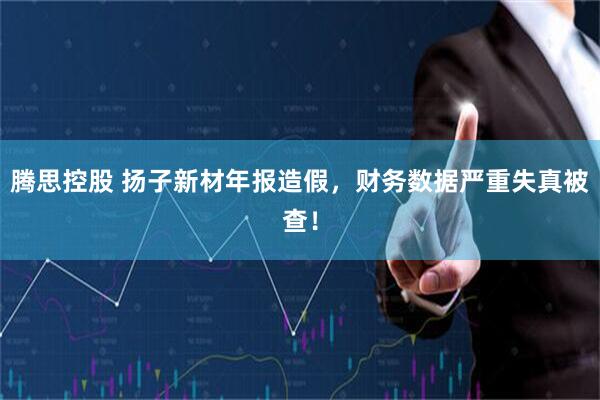 腾思控股 扬子新材年报造假，财务数据严重失真被查！