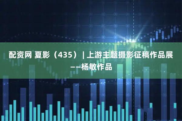 配资网 夏影（435） | 上游主题摄影征稿作品展——杨敏作品