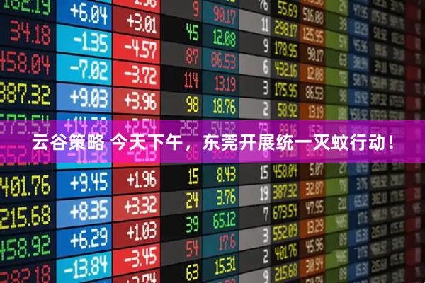 云谷策略 今天下午，东莞开展统一灭蚊行动！