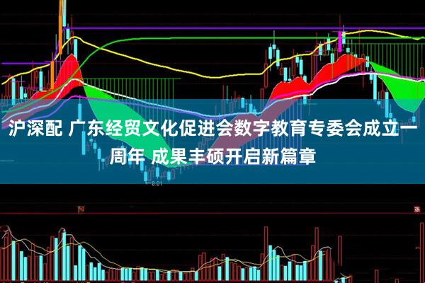 沪深配 广东经贸文化促进会数字教育专委会成立一周年 成果丰硕开启新篇章