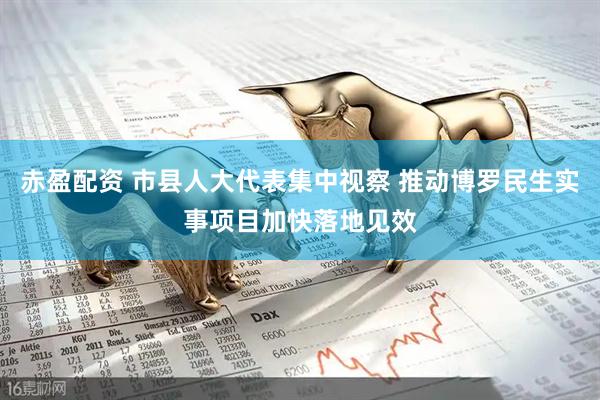 赤盈配资 市县人大代表集中视察 推动博罗民生实事项目加快落地见效