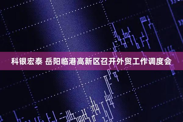 科银宏泰 岳阳临港高新区召开外贸工作调度会