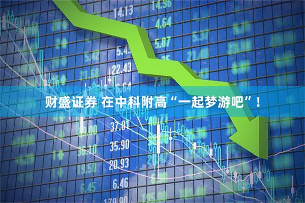 财盛证券 在中科附高“一起梦游吧”！