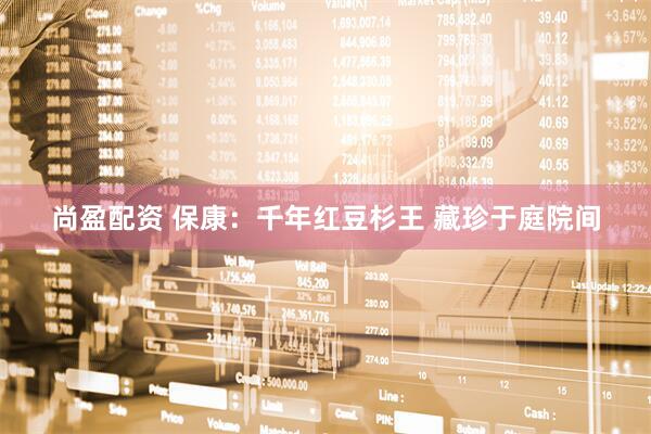 尚盈配资 保康：千年红豆杉王 藏珍于庭院间
