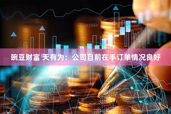 豌豆财富 天有为：公司目前在手订单情况良好